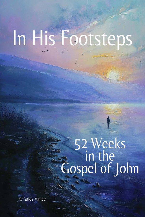 Cover of In His Footsteps